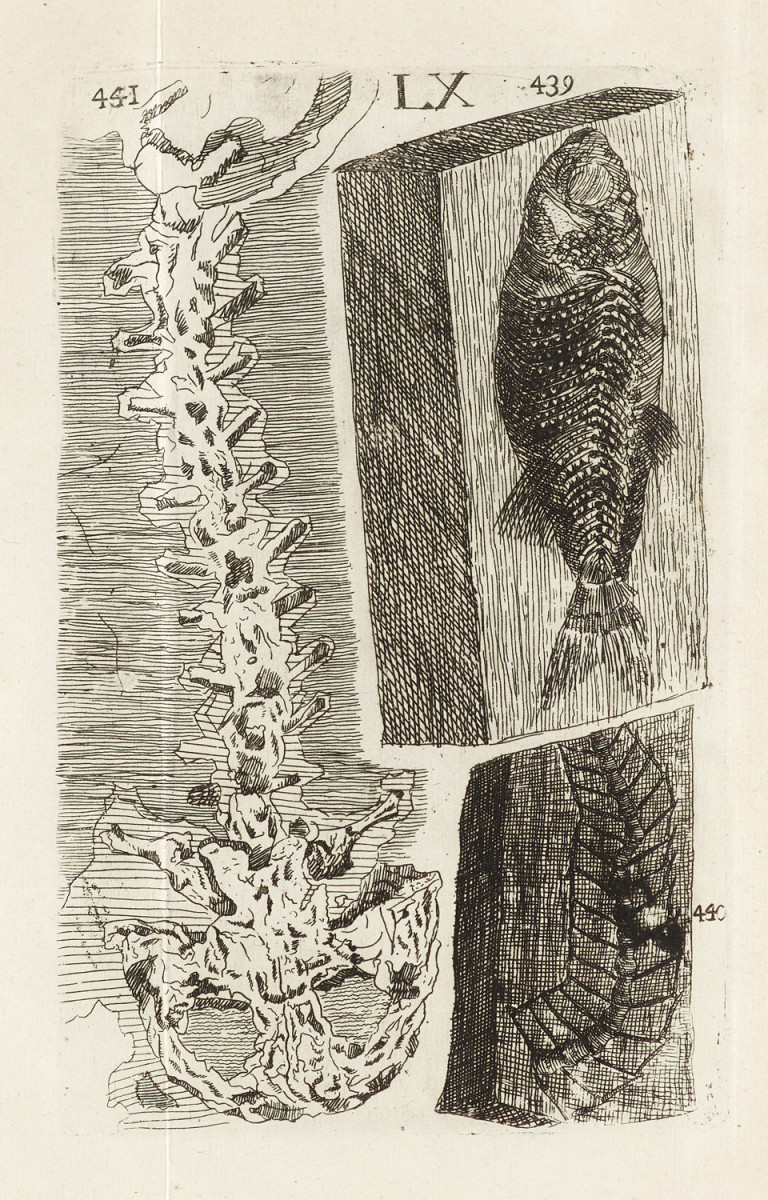 Image: 1