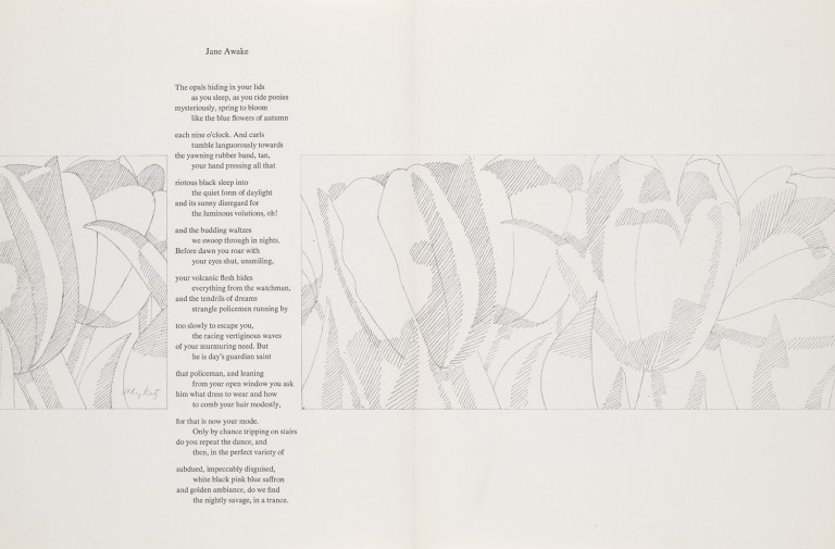 Image: 1