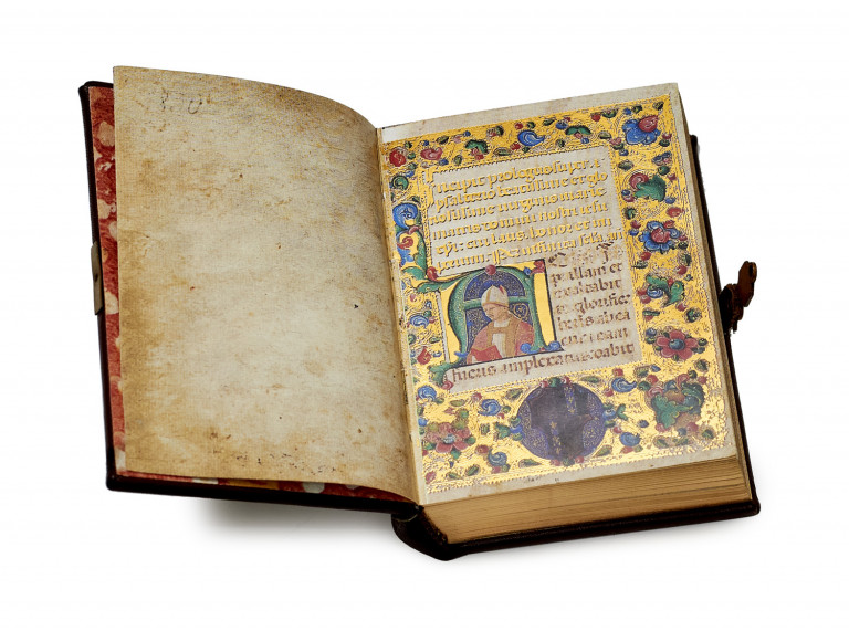Image:
                        Lot 262