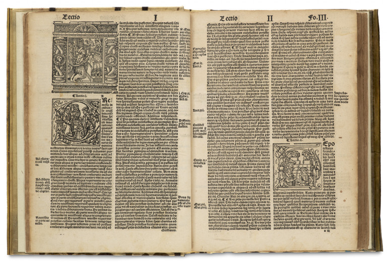 Image:
                        Lot 12