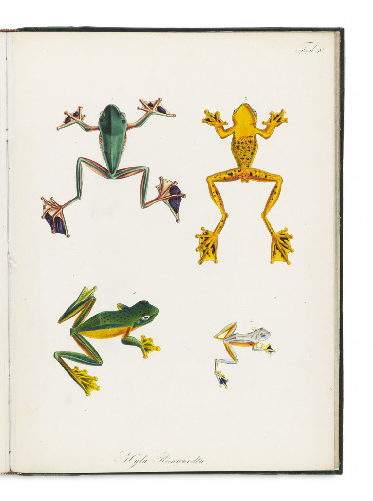 Image: 2