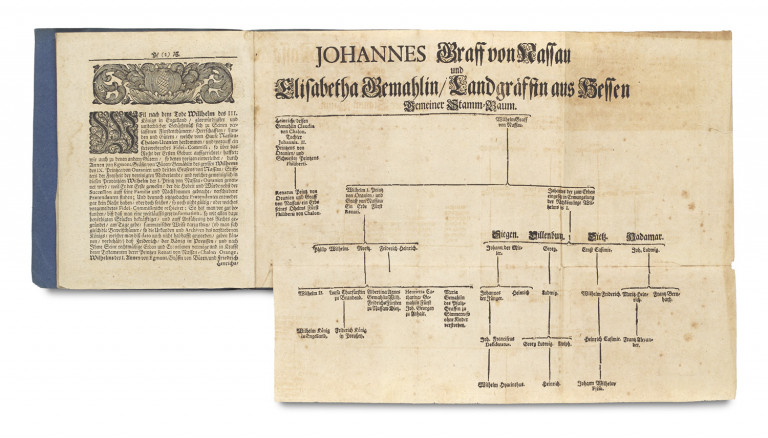 Image:
                        Lot 460