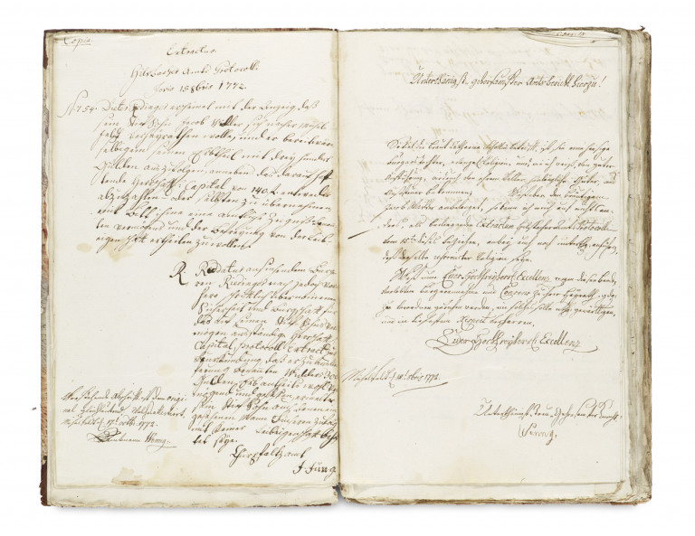 Image:
                        Lot 493