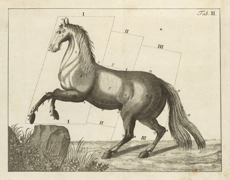 Image:
                        Lot 1907