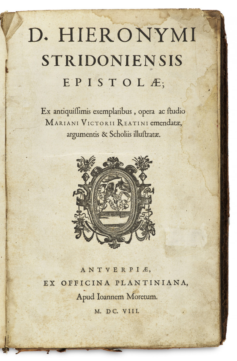 Image:
                        Lot 81