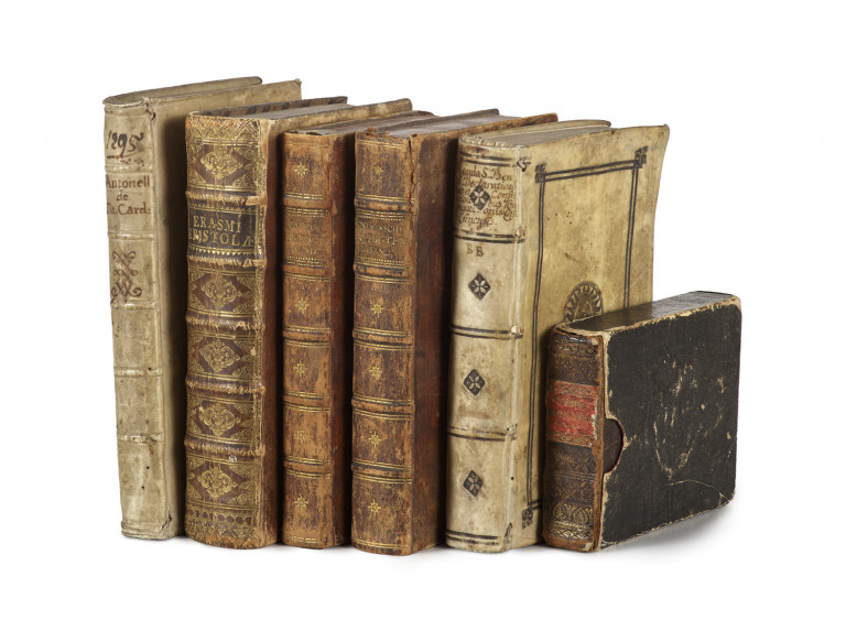 Image:
                        Lot 95