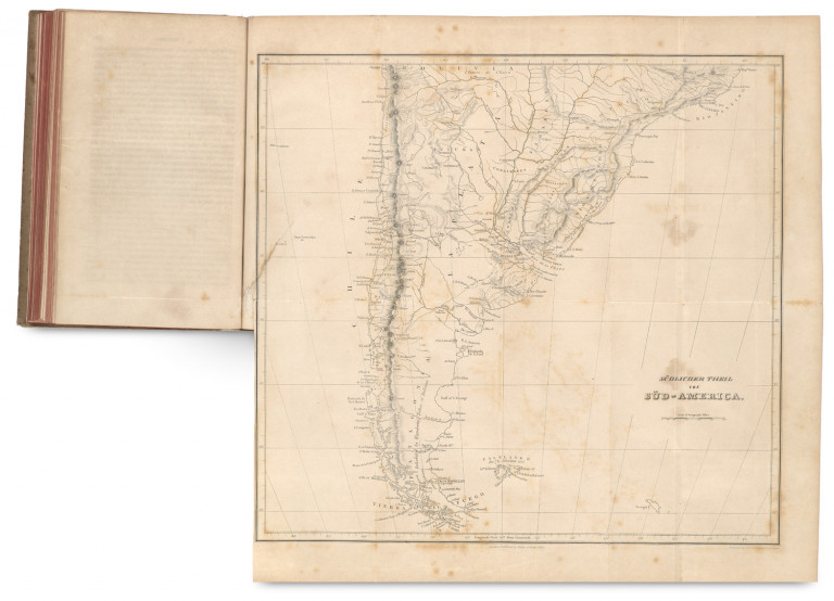 Image:
                        Lot 1247