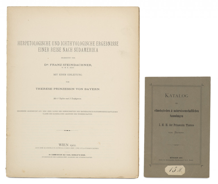 Image:
                        Lot 1353