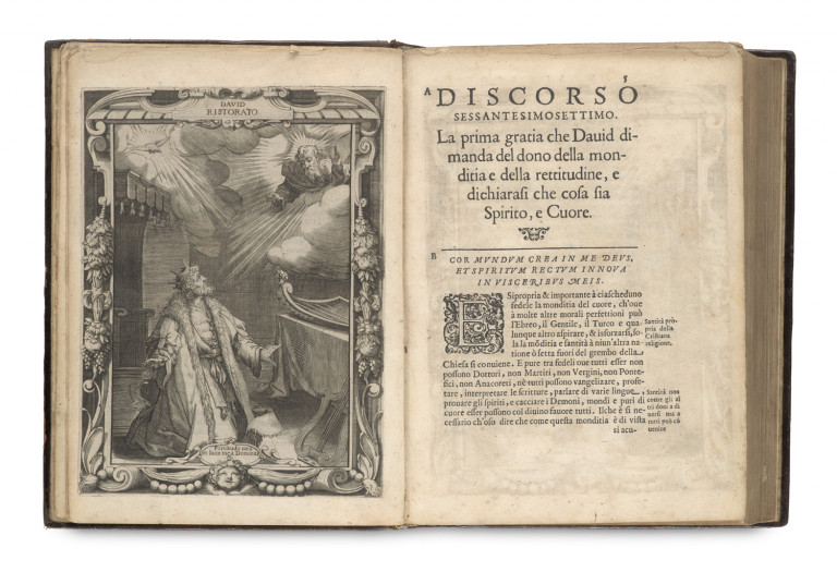 Image:
                        Lot 313