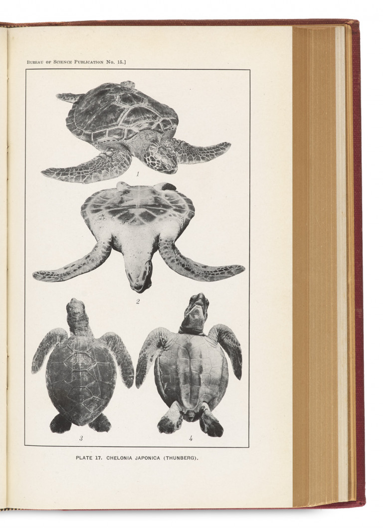 Image:
                        Lot 1397