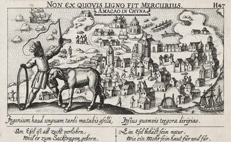 Image: 1