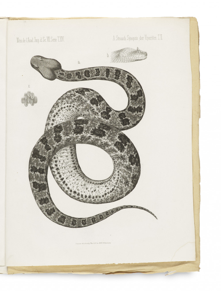 Image:
                        Lot 1395