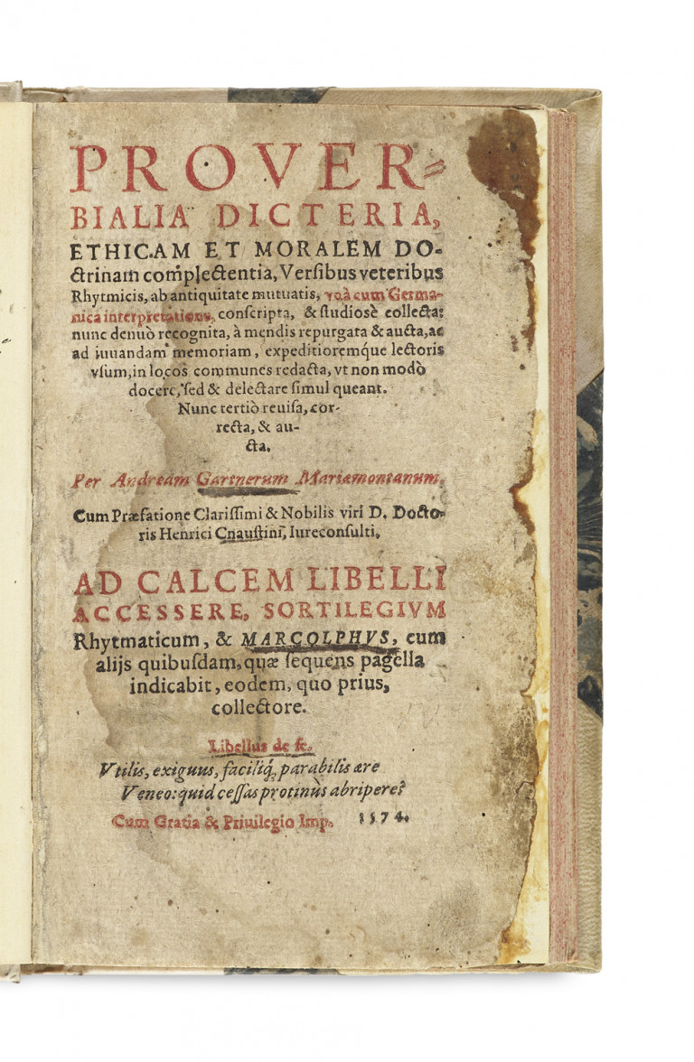 Image:
                        Lot 21