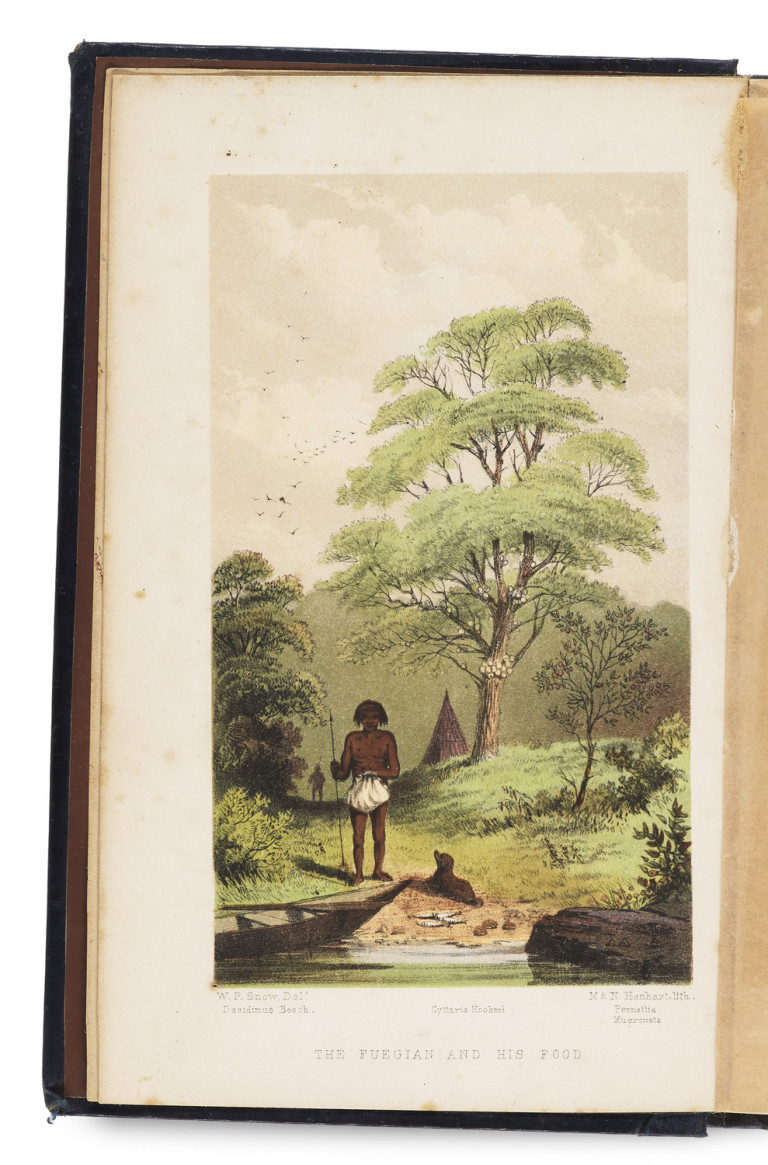 Image: 1