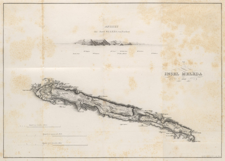 Image:
                        Lot 1583