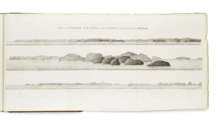 Image:
                        Lot 1619
