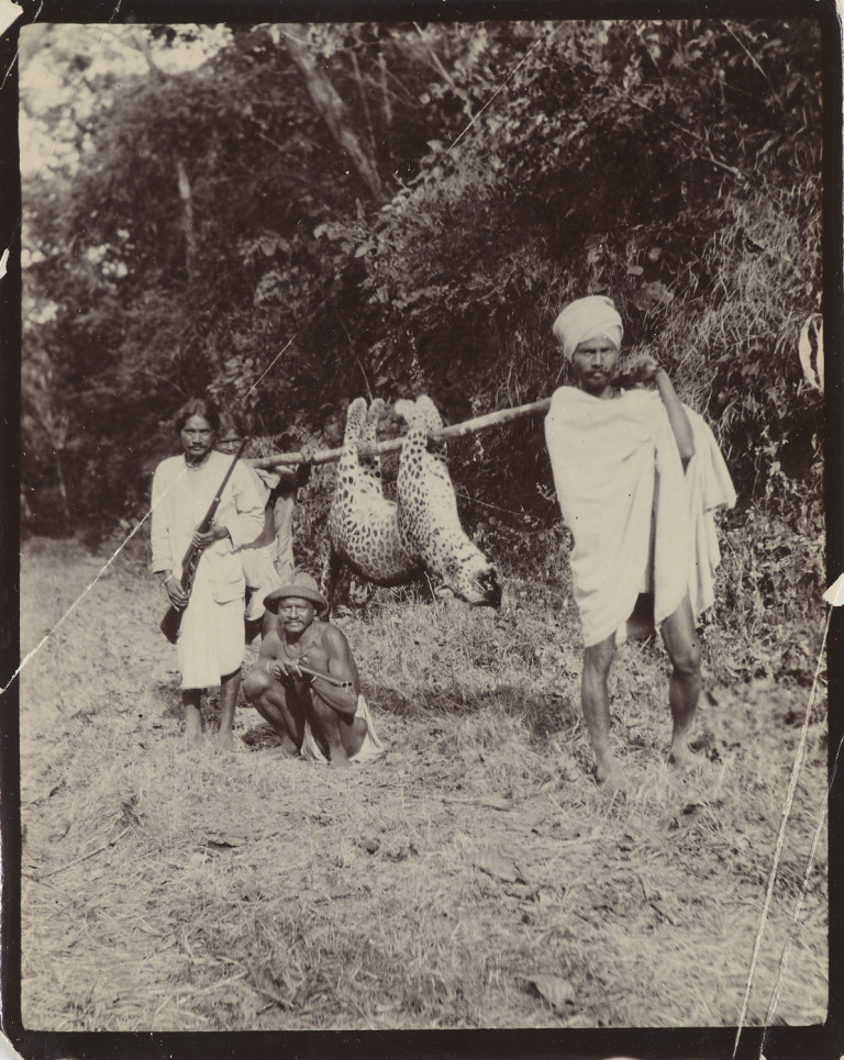 Image: 1