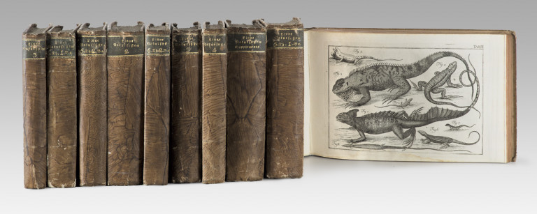 Image:
                        Lot 1271