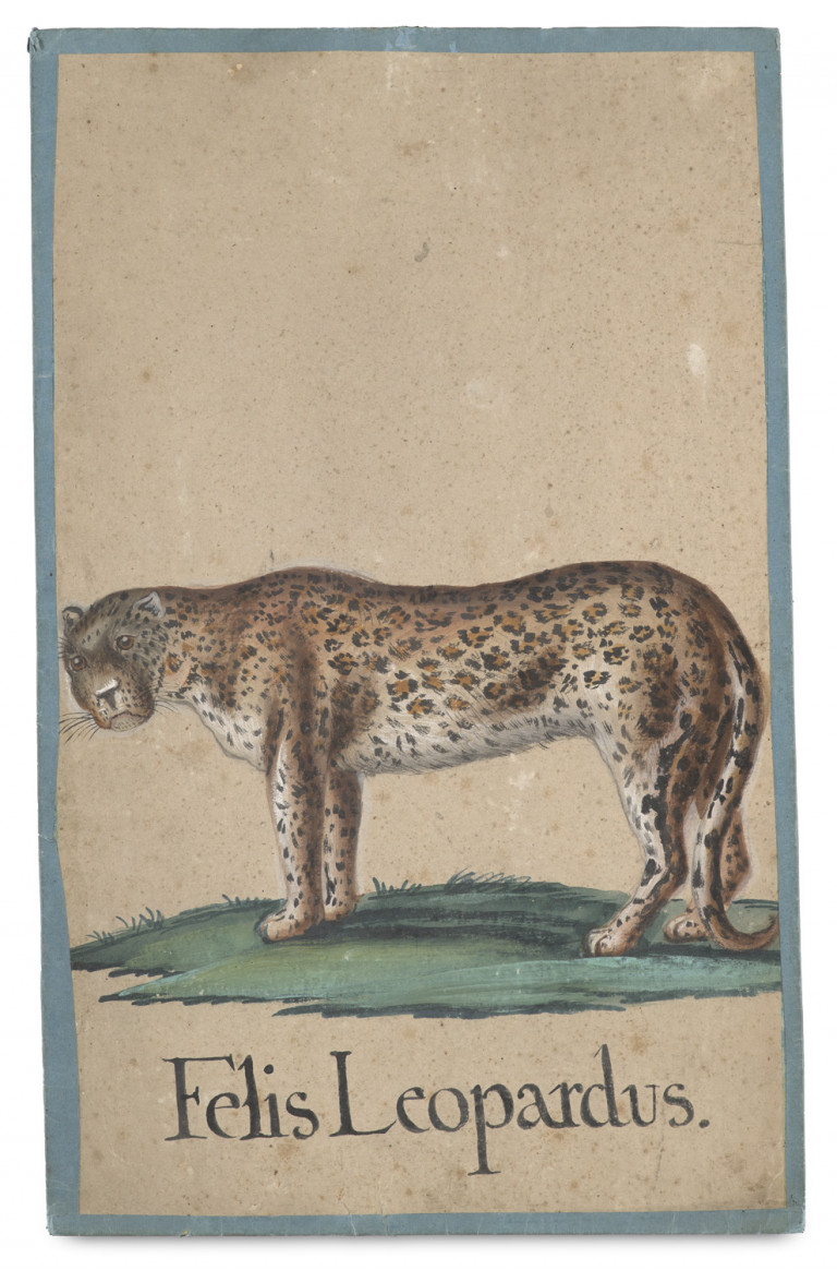 Image:
                        Lot 1350