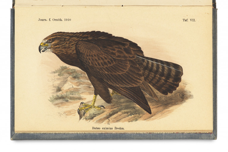 Image:
                        Lot 1430