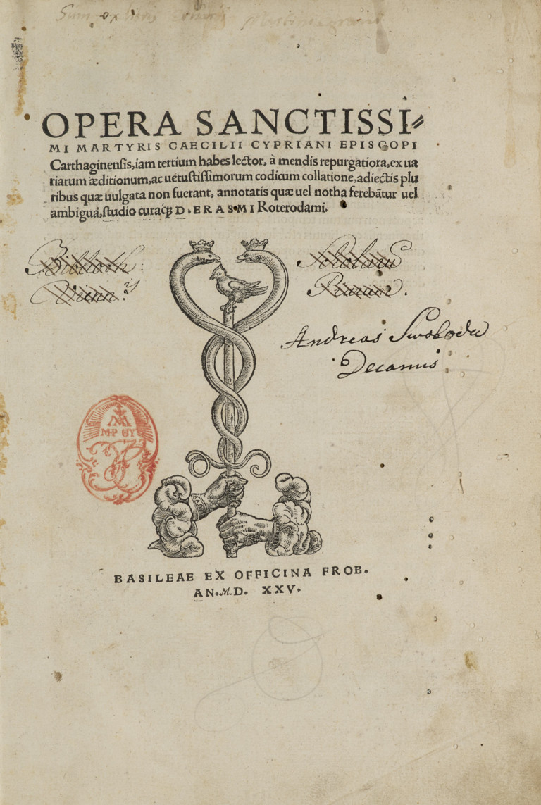 Image:
                        Lot 17