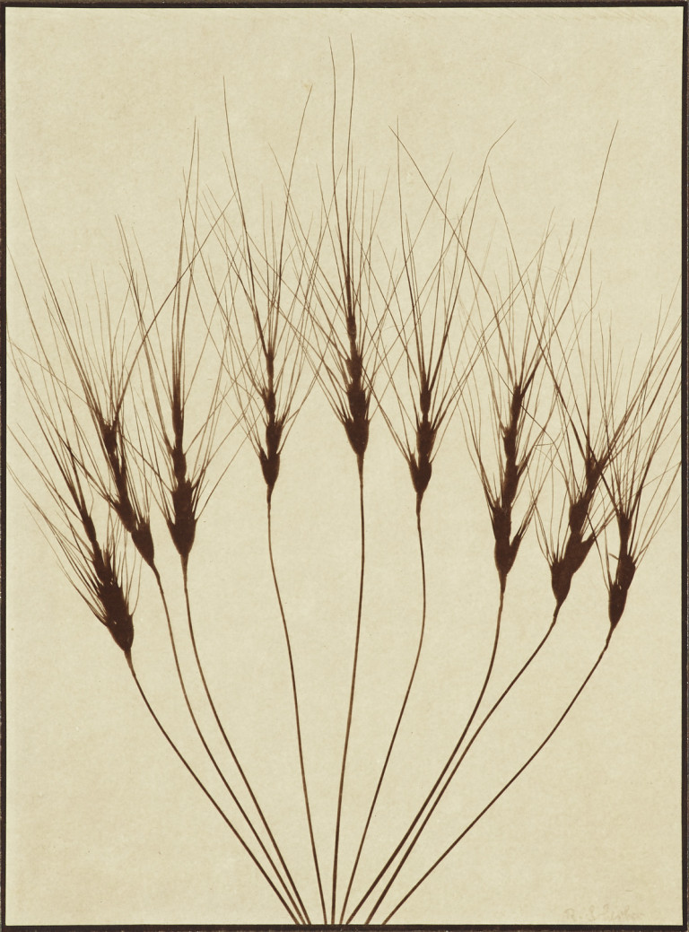 Image: 1