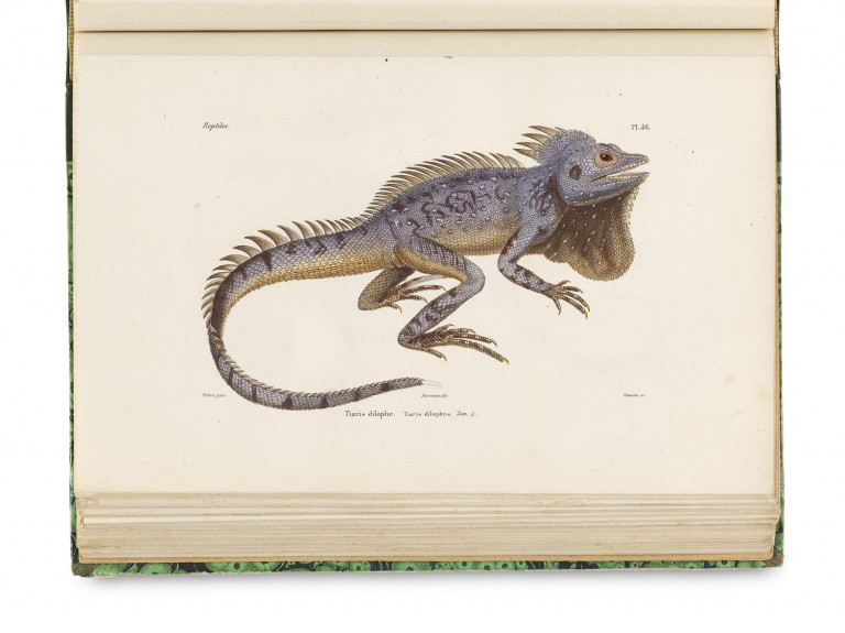 Image:
                        Lot 1369