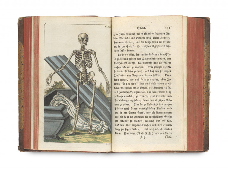 Image:
                        Lot 1215