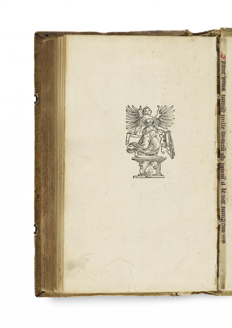 Image:
                        Lot 49