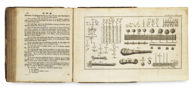 Image:
                        Lot 1241