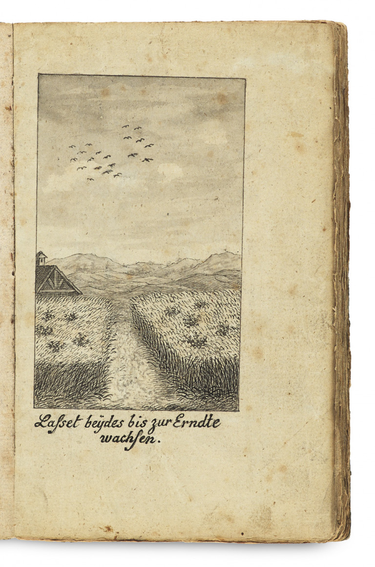 Image:
                        Lot 112