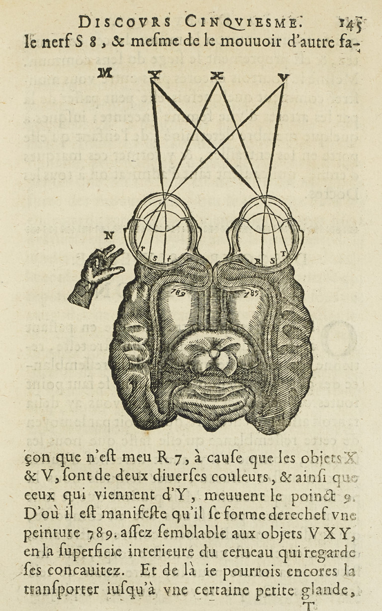 Image: 2