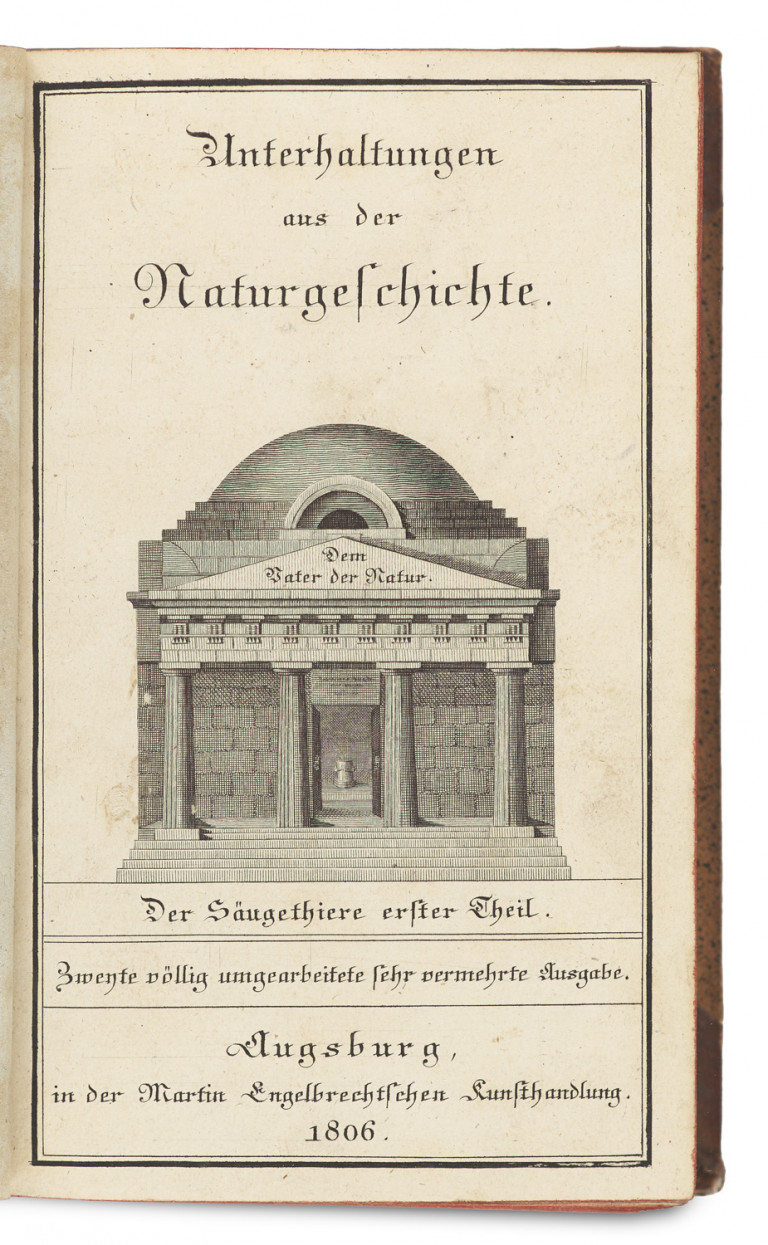 Image:
                        Lot 1355