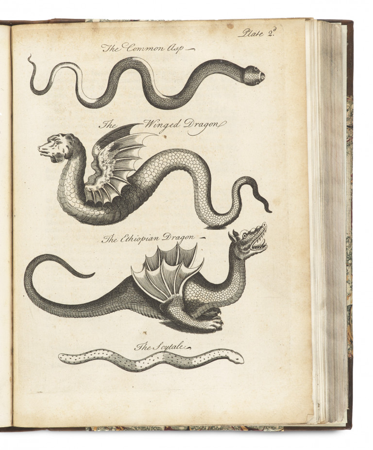 Image:
                        Lot 1402