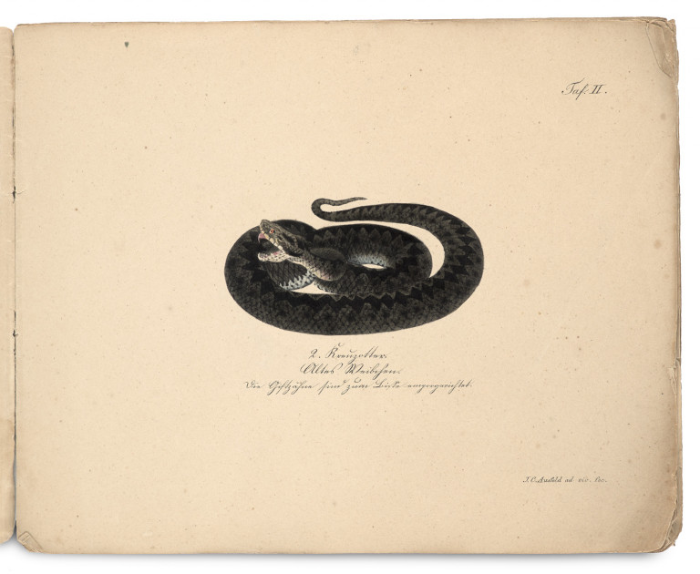 Image:
                        Lot 1374