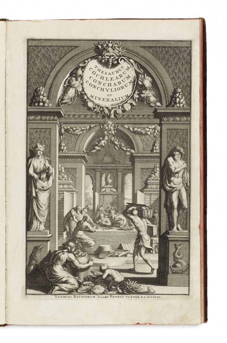Image: 1