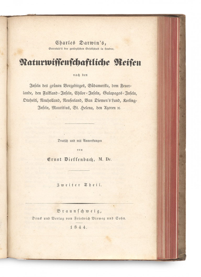 Image: 1