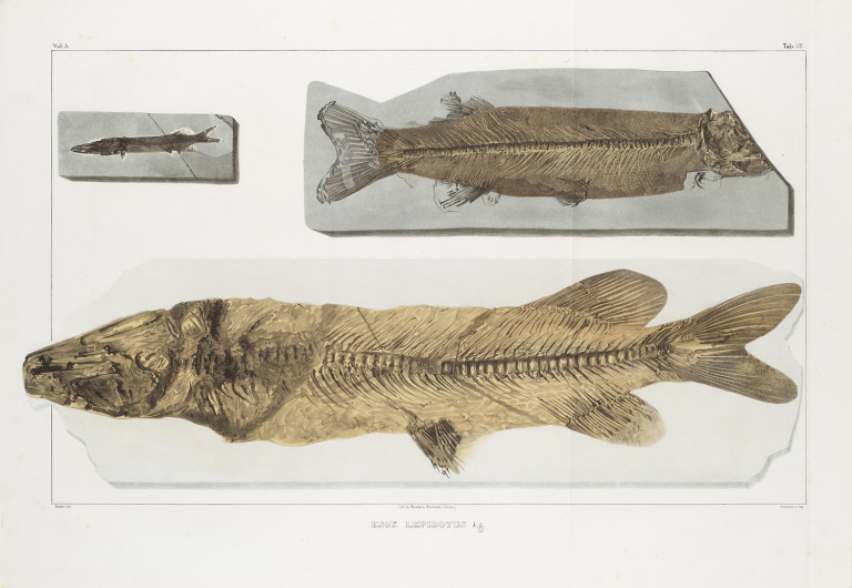 Image:
                        Lot 1404