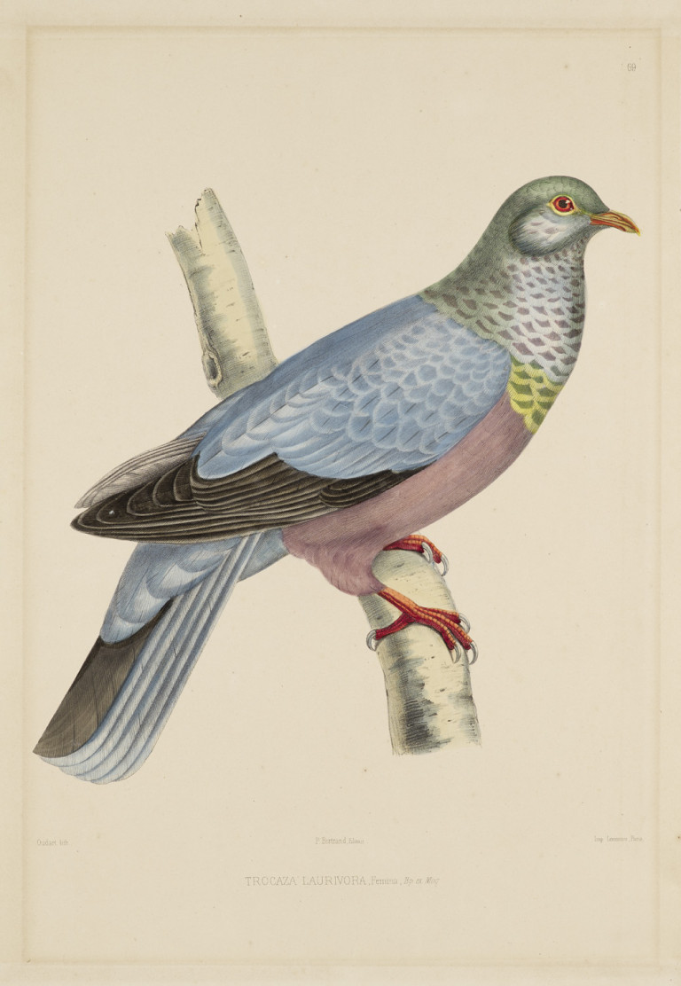 Image: 1