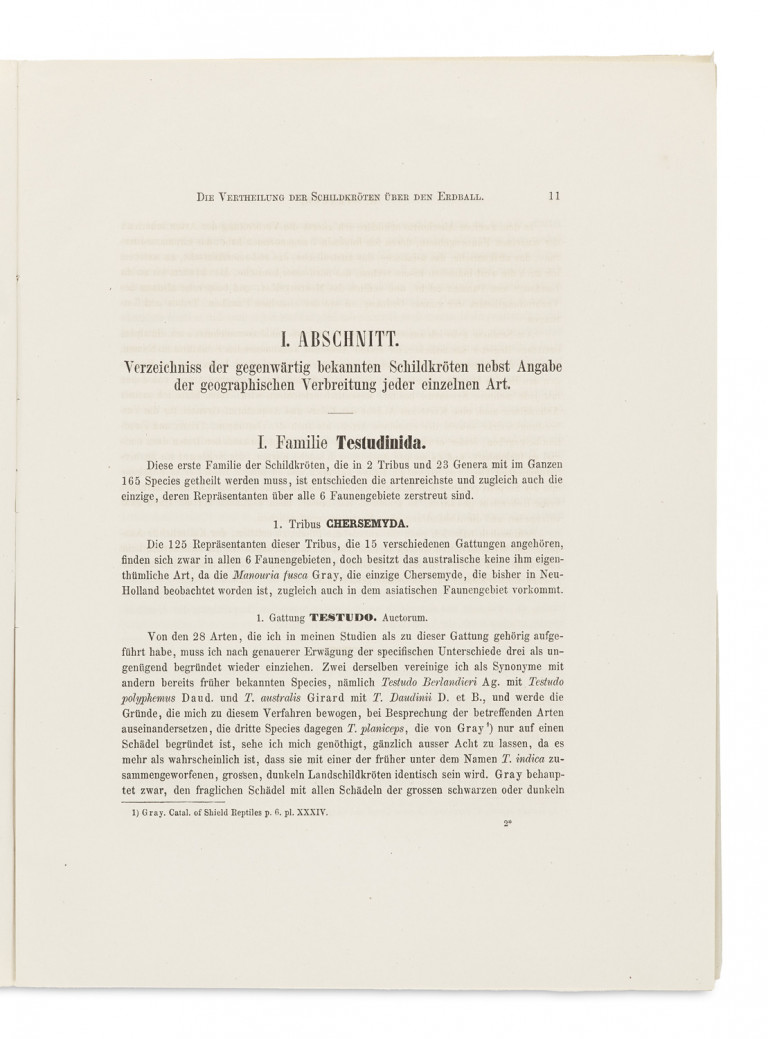 Image: 1
