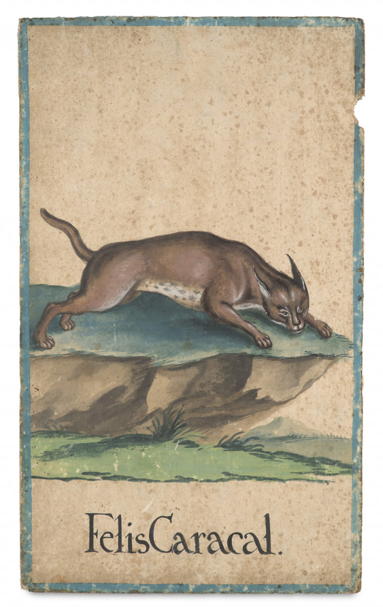 Image: 1