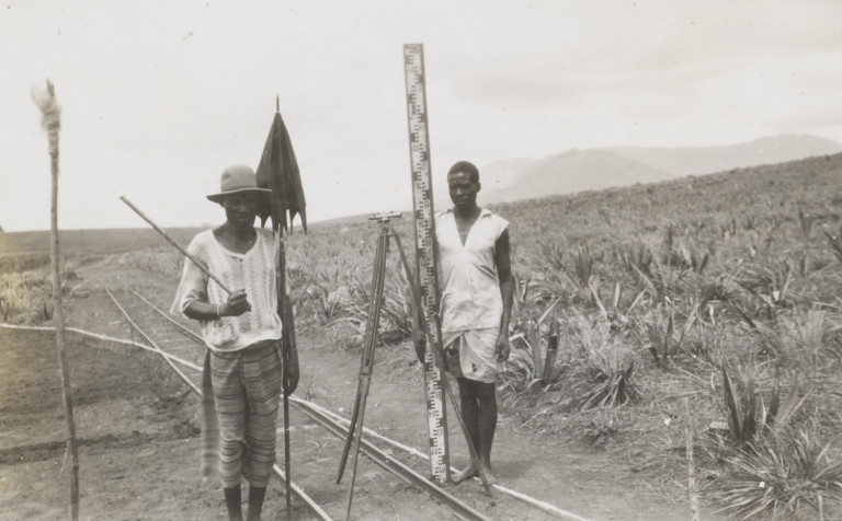 Image:
                        Lot 1664