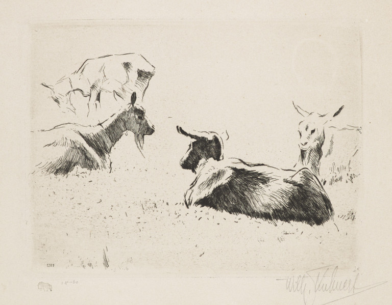 Image:
                        Lot 1442