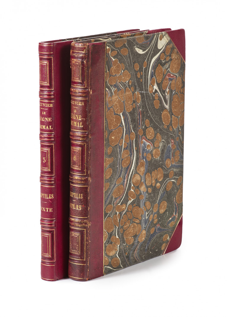 Image:
                        Lot 1337