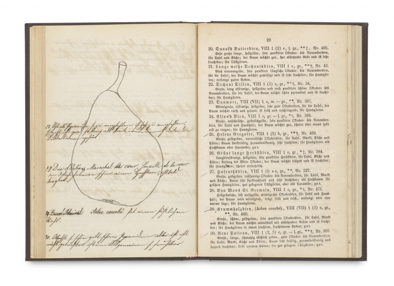 Image:
                        Lot 1331