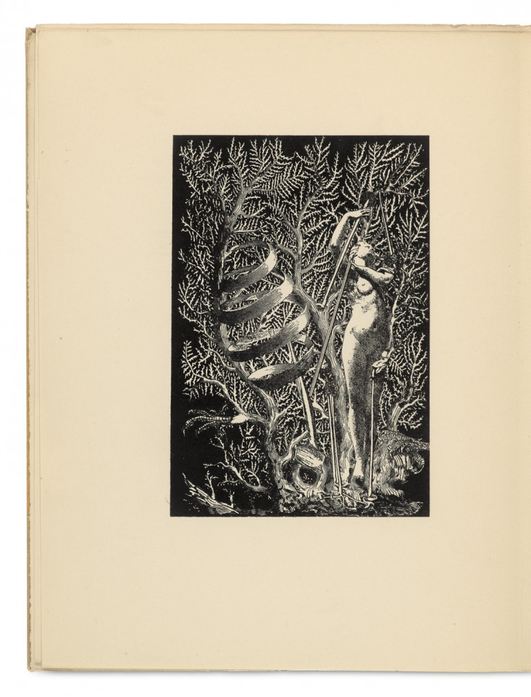 Image:
                        Lot 675