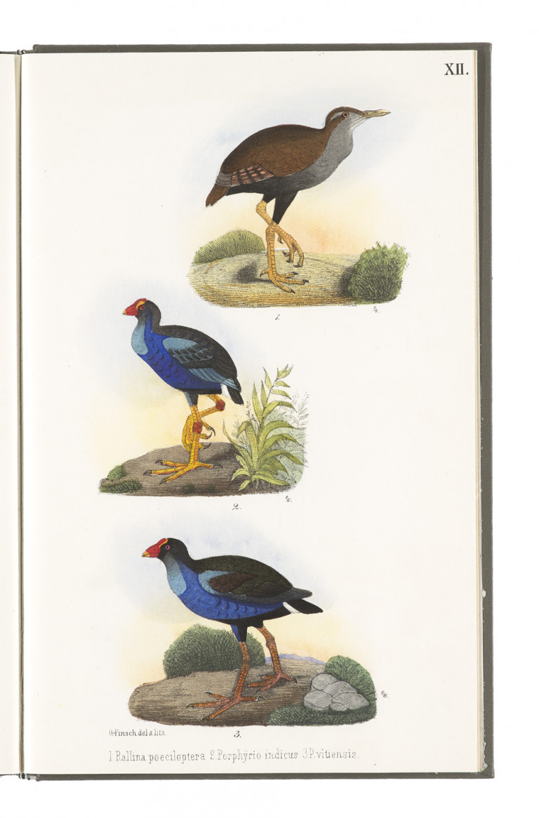 Image: 1