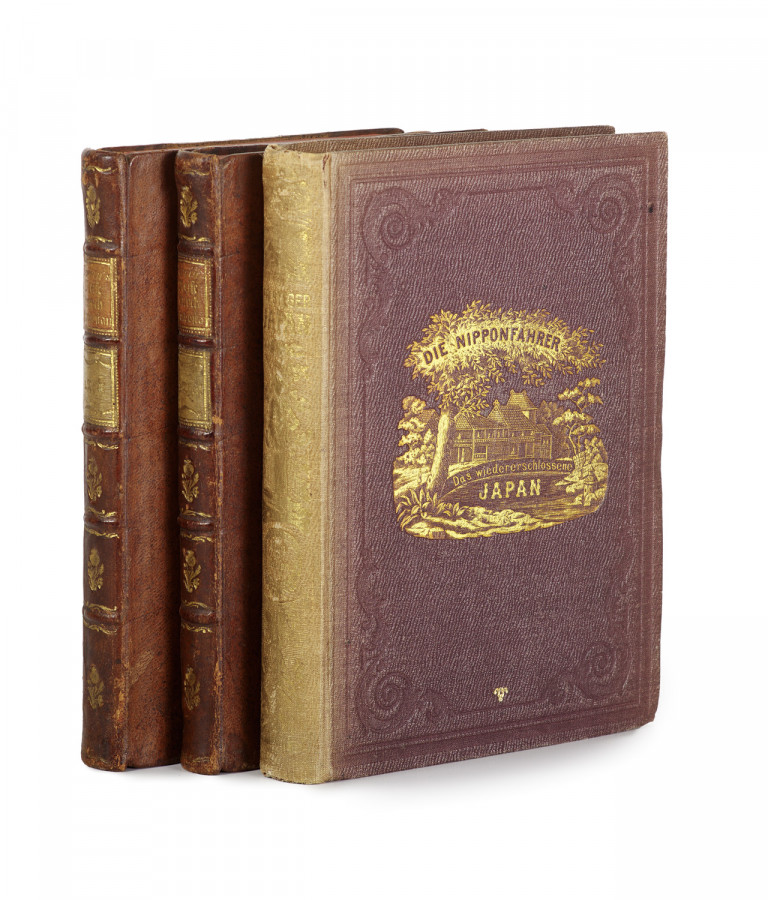 Image:
                        Lot 1557