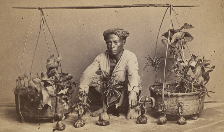 Image:
                        Lot 1714