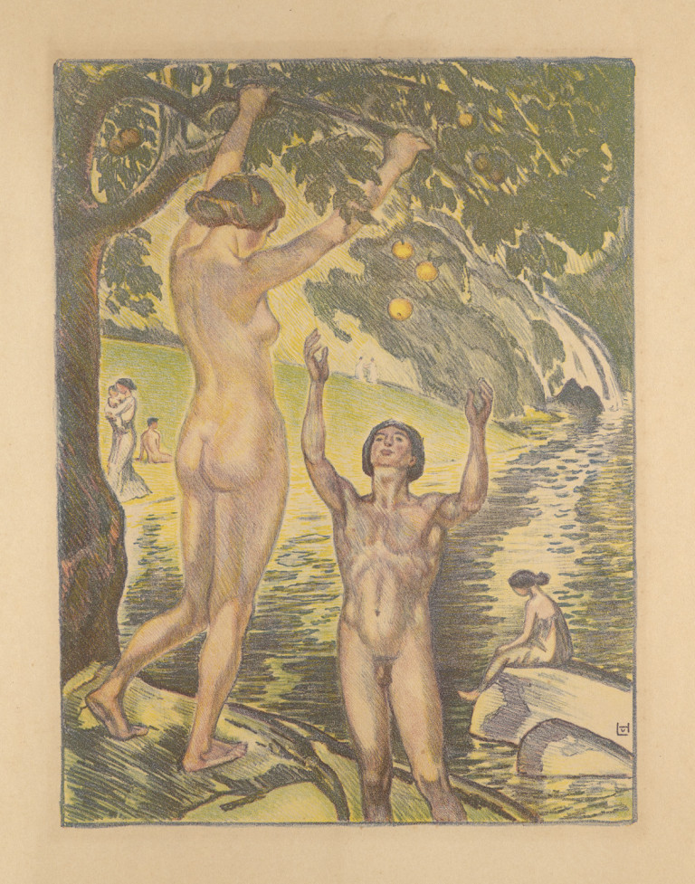 Image:
                        Lot 809